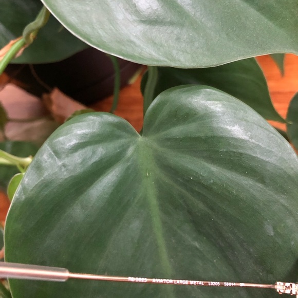 Ray Ban classic aviator - Picture 2 of 5